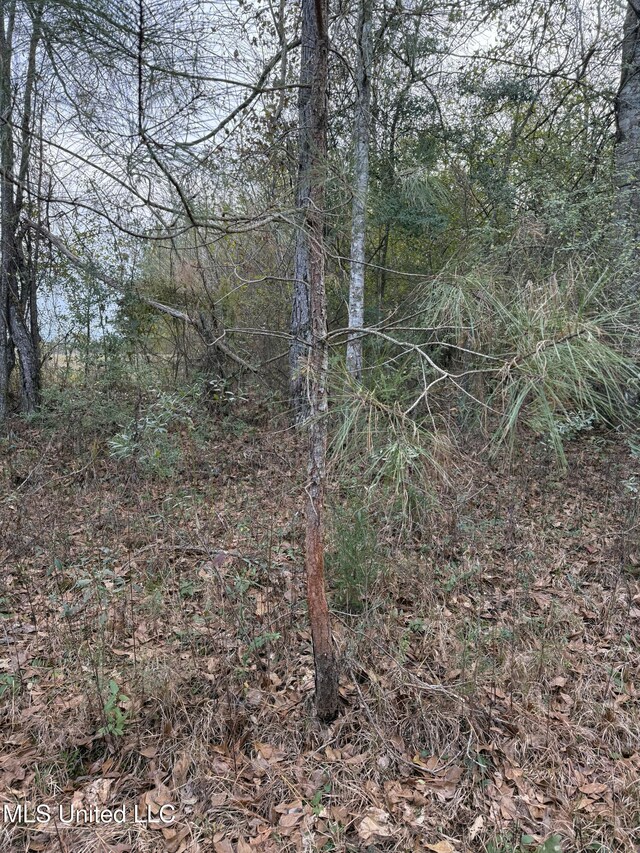 00 County Line Rd, Summit, MS 39666