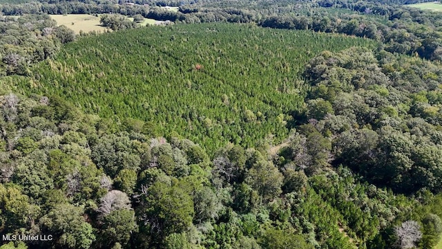 00 County Line Rd, Summit, MS 39666