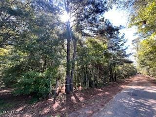 00 County Line Rd, Summit, MS 39666