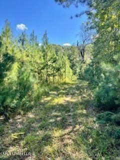 00 County Line Rd, Summit, MS 39666