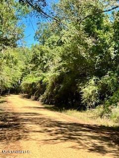 00 County Line Rd, Summit, MS 39666