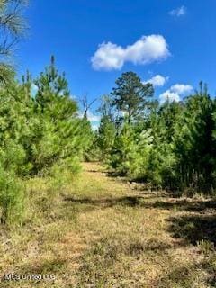 00 County Line Rd, Summit, MS 39666
