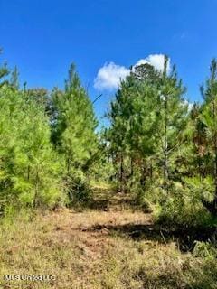 00 County Line Rd, Summit, MS 39666