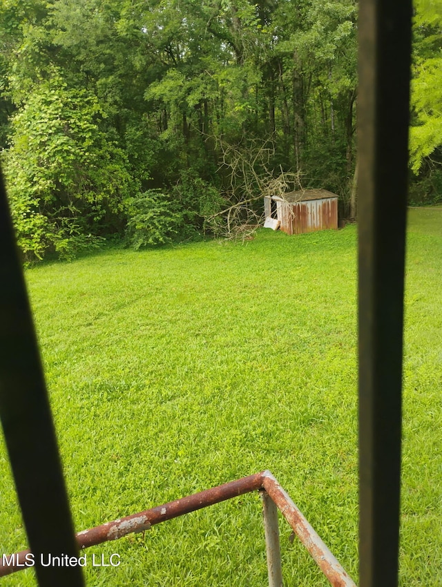 view of yard featuring an outdoor structure and a shed