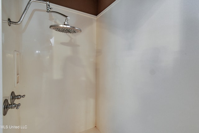 room details featuring walk in shower