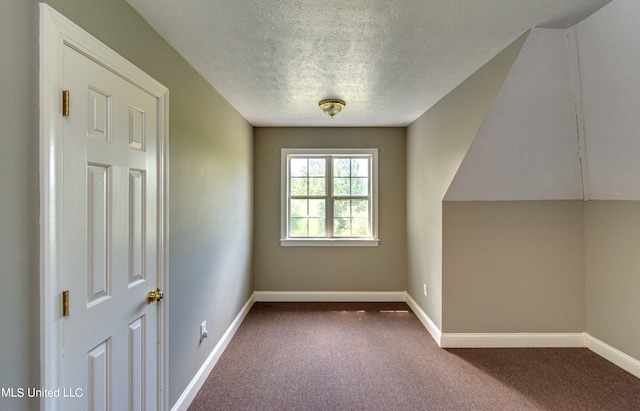 bonus room featuring a textured ceiling and carpet