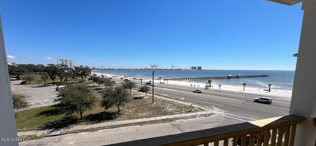 view of water feature featuring a view of the beach