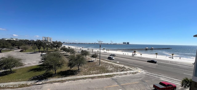 view of water feature featuring a beach view