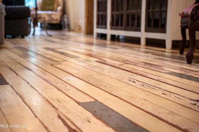 interior details featuring wood-type flooring