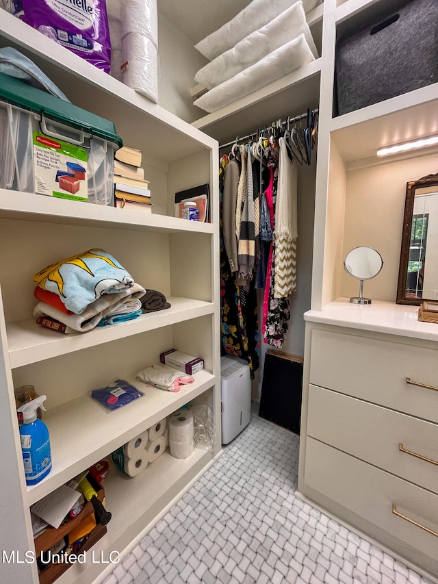 view of spacious closet