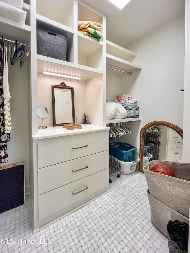 view of spacious closet