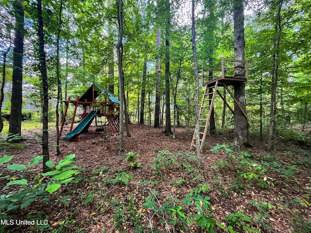 view of jungle gym