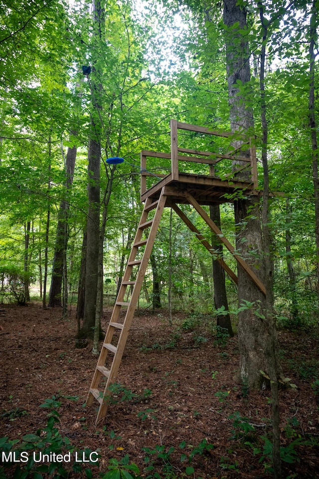 110 Quail Hollow Pl, Brandon, MS 39047 - view of playground featuring a wooded view