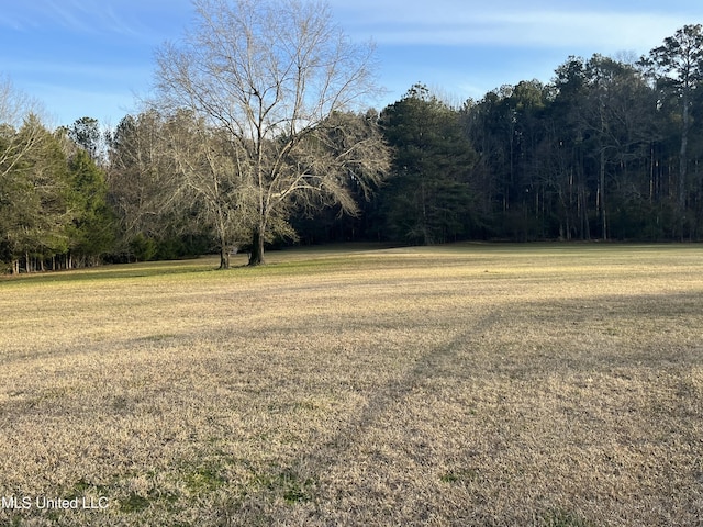 view of yard featuring a view of trees