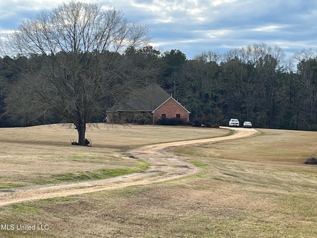 view of road featuring dirt driveway