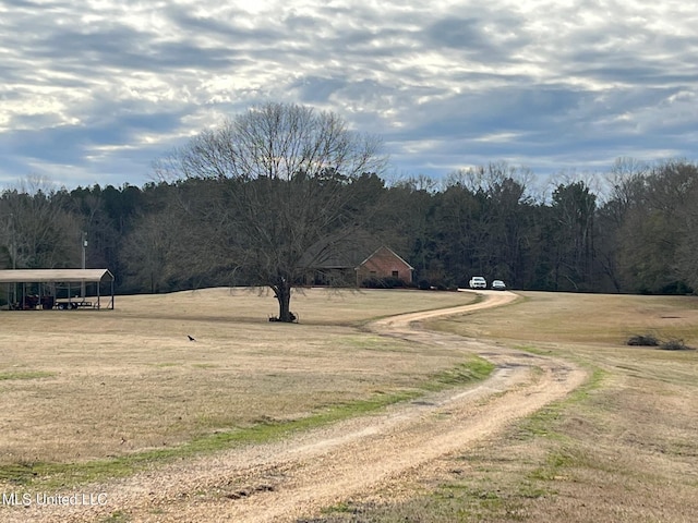 view of street with dirt driveway