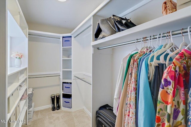 322 NW 2nd Ave, Magee, MS 39111 - walk in closet with carpet flooring