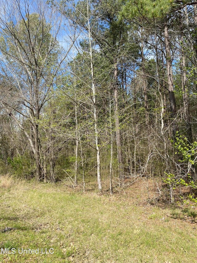 Dampeer Rd, Canton MS, 39046 land for sale