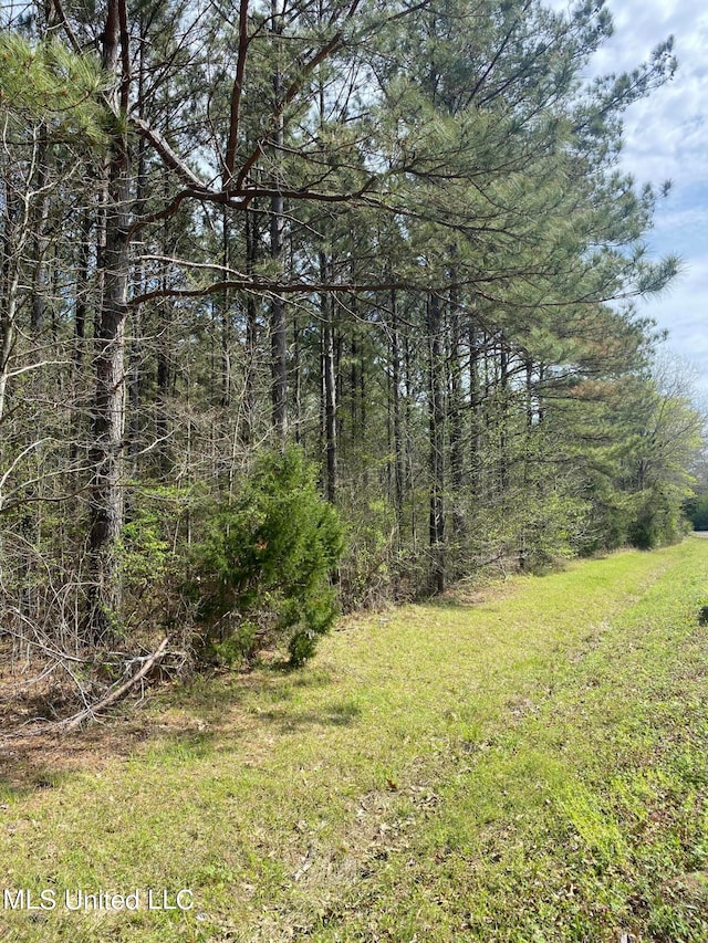 Listing photo 2 for Dampeer Rd, Canton MS 39046