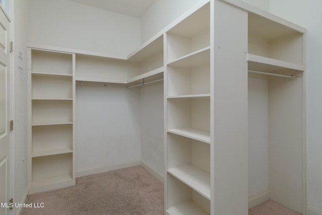 54 Saint Annes Dr, Hattiesburg, MS 39401 - spacious closet with carpet