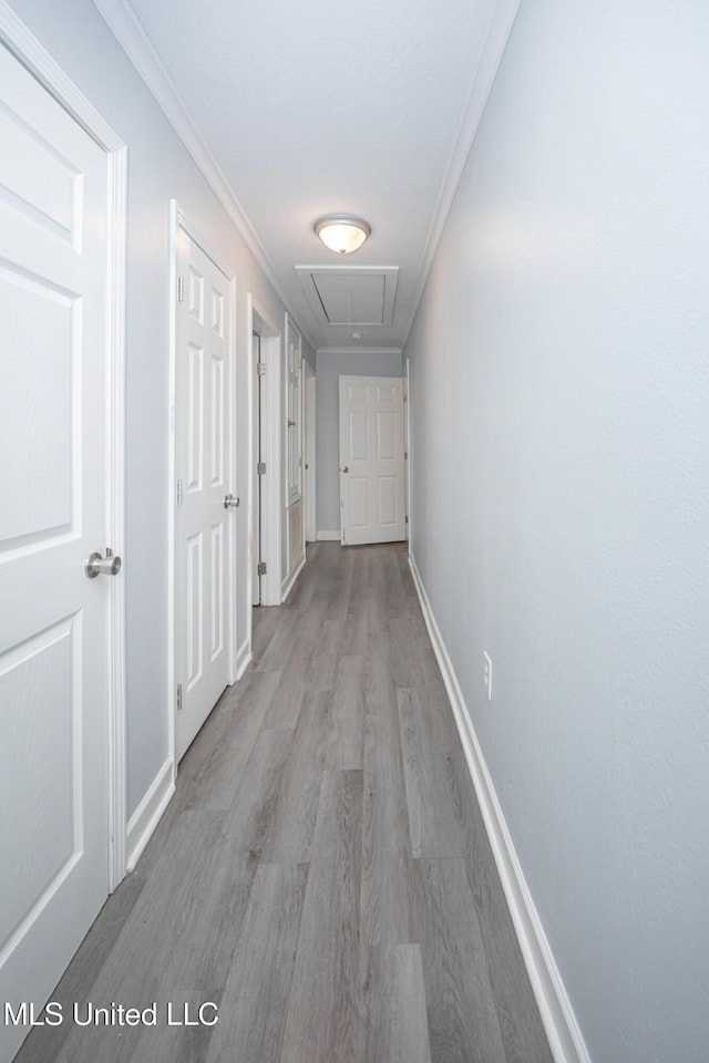 hall featuring ornamental molding and light hardwood / wood-style flooring