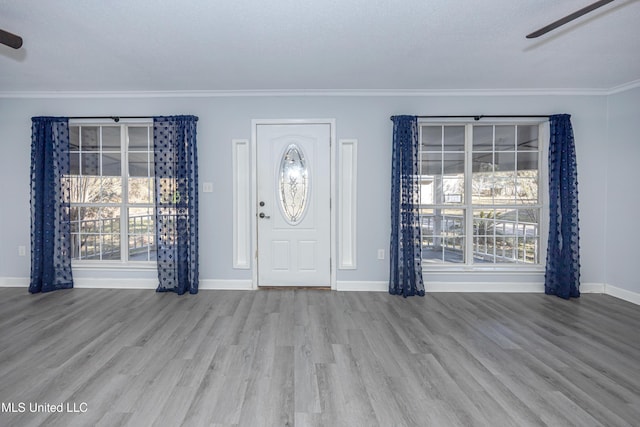 foyer with ceiling fan, plenty of natural light, ornamental molding, and light hardwood / wood-style flooring