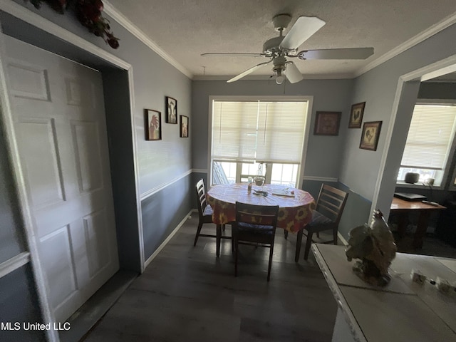 260 SCR 62, Magee, MS 39111 - dining space with plenty of natural light, a ceiling fan, a textured ceiling, ornamental molding, and wood finished floors