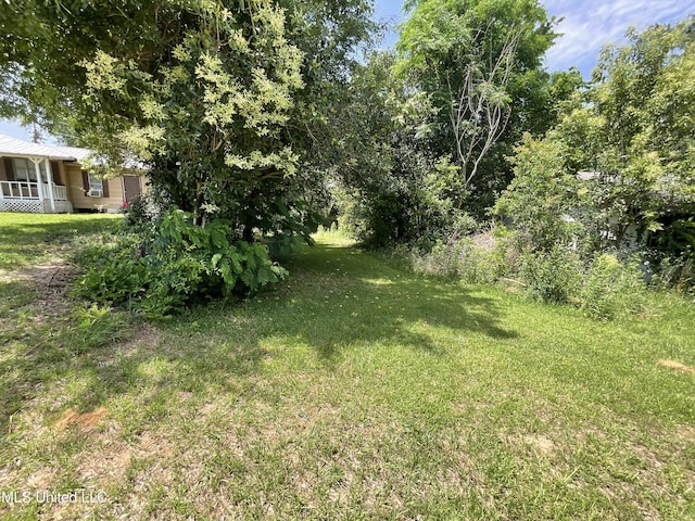 260 SCR 62, Magee, MS 39111 - view of green lawn