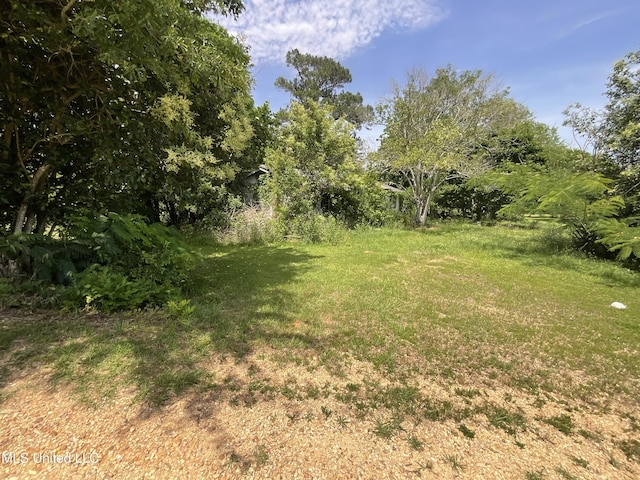 260 SCR 62, Magee, MS 39111 - view of grassy yard