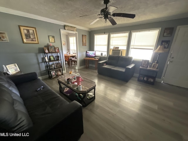 260 SCR 62, Magee, MS 39111 - living room featuring ceiling fan, healthy amount of natural light, crown molding, wood finished floors, and baseboards