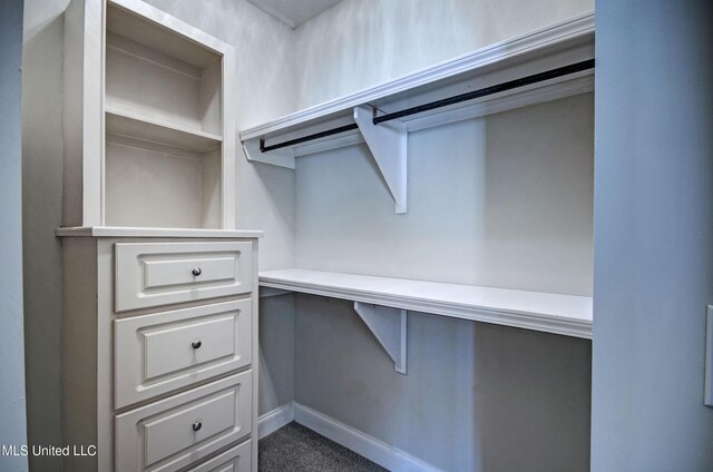 508 Jasmine Ct, Brandon, MS 39047 - spacious closet with dark colored carpet