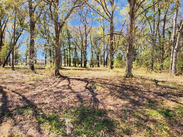 3.94AC Yellow Bluff Rd, Lucedale, MS 39452