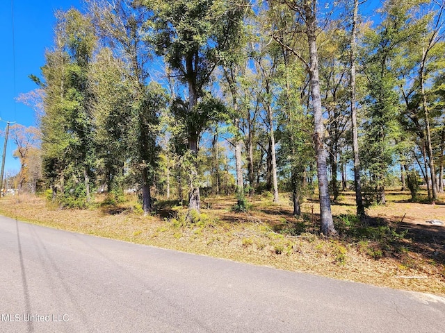 3.94AC Yellow Bluff Rd, Lucedale, MS 39452