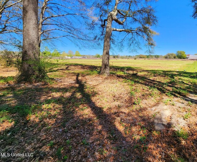 3.94AC Yellow Bluff Rd, Lucedale, MS 39452