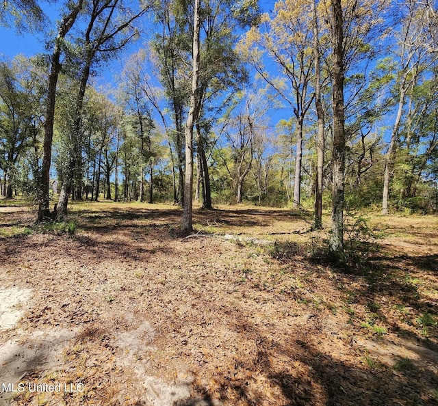 3.94AC Yellow Bluff Rd, Lucedale, MS 39452