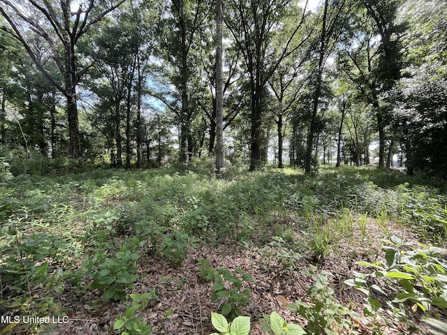 3.94AC Yellow Bluff Rd, Lucedale, MS 39452