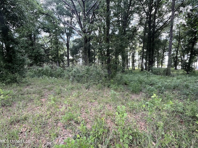 3.94AC Yellow Bluff Rd, Lucedale, MS 39452