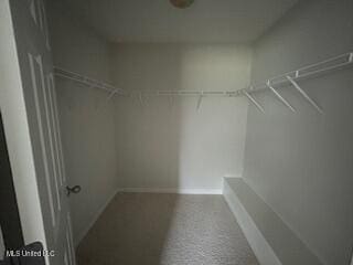 134 Shadow Ln, Batesville, MS 38606 - view of walk in closet