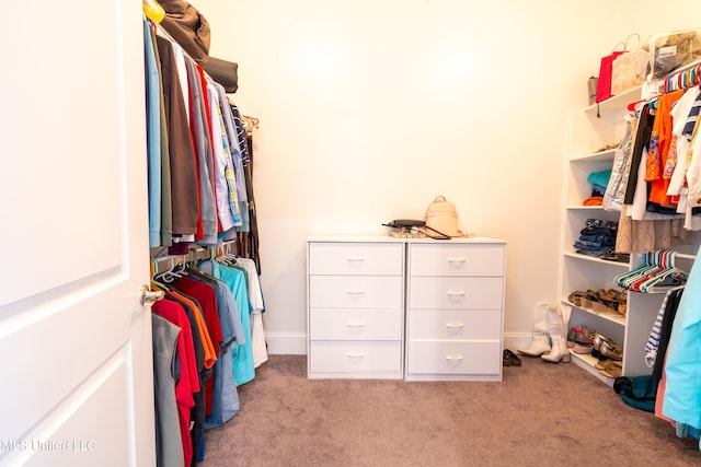 spacious closet featuring carpet