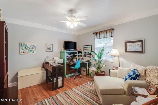 office area with crown molding, ceiling fan, and light wood-type flooring