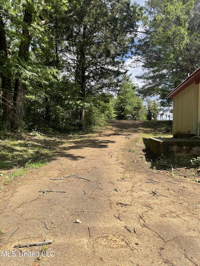 20 Cedar Hts, Pope, MS 38658 - view of street