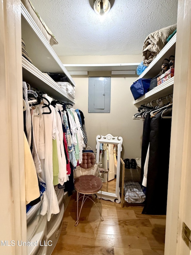 walk in closet featuring electric panel and wood finished floors