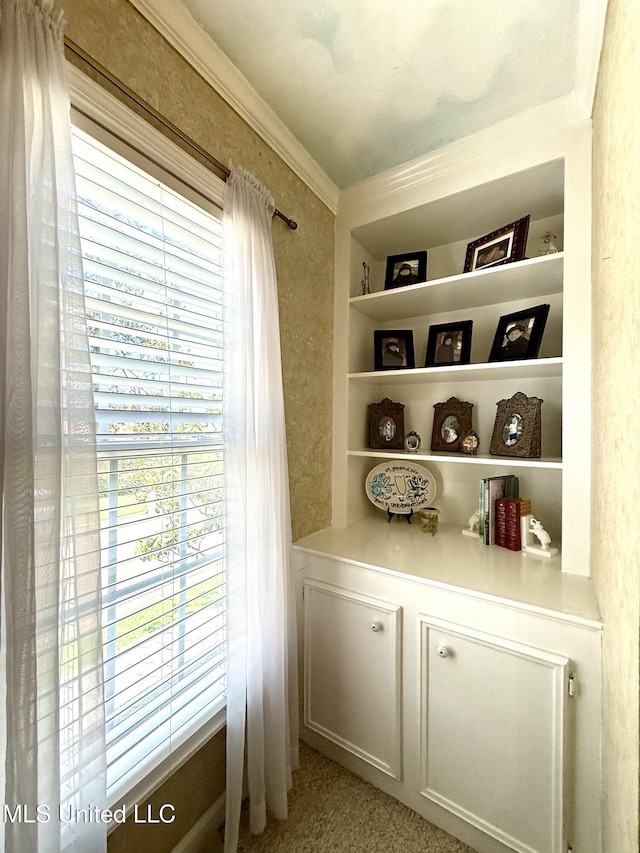 detailed view of built in shelves and crown molding