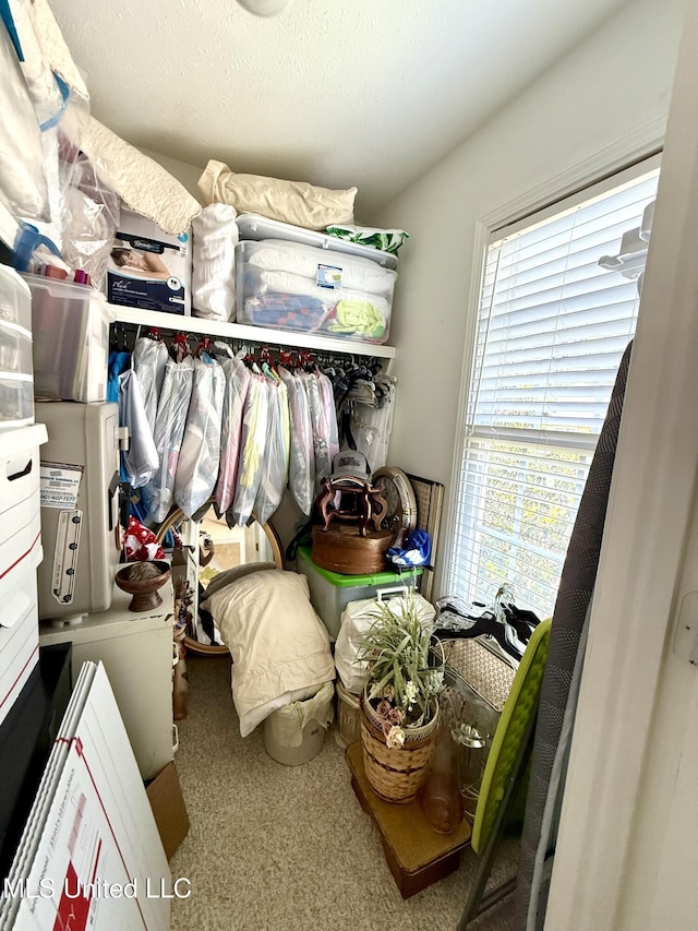 view of walk in closet
