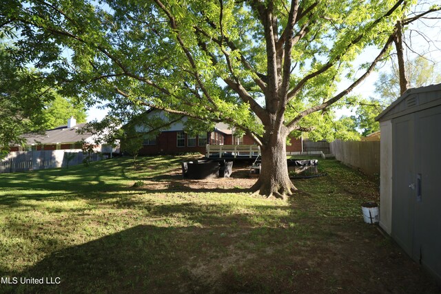 view of yard with a shed