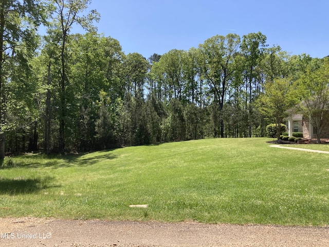 view of green lawn