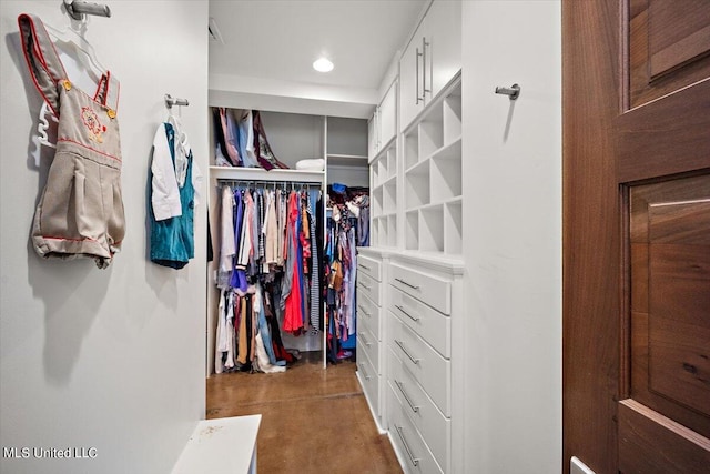 view of spacious closet