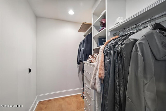 145 Republic St Unit 331, Madison, MS 39110 - spacious closet with carpet flooring