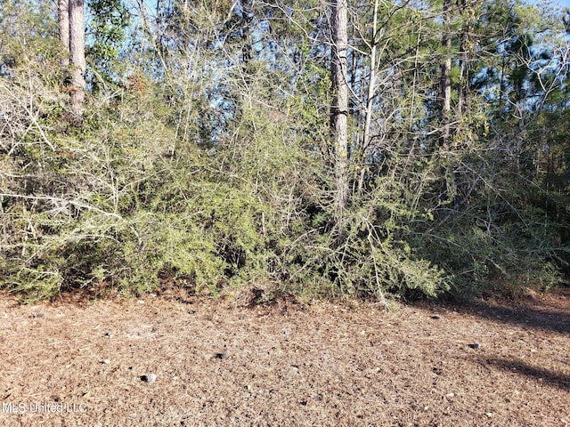 0 Saw Grass Pt, Gautier MS, 39553 land for sale