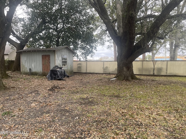 view of yard with a storage unit